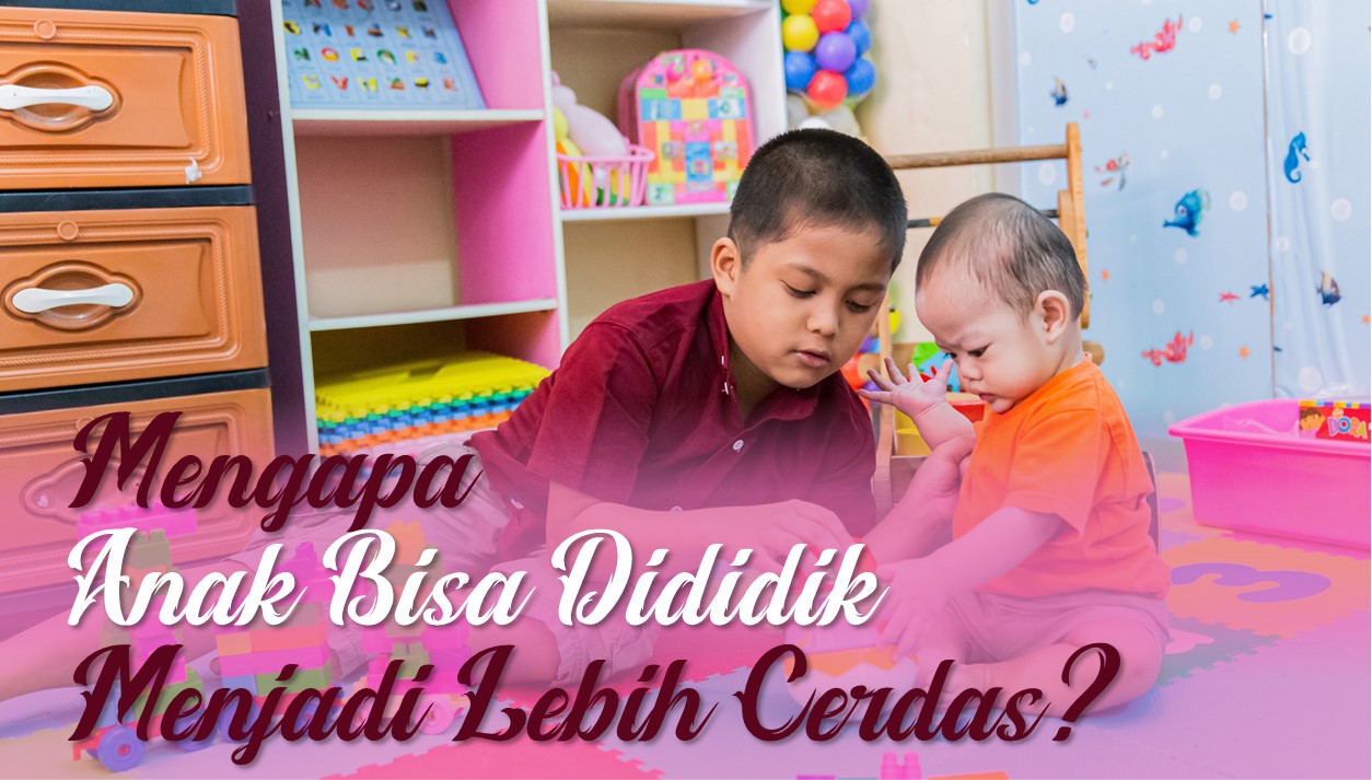 Read more about the article Mengapa Anak Bisa Dididik Menjadi Lebih Cerdas